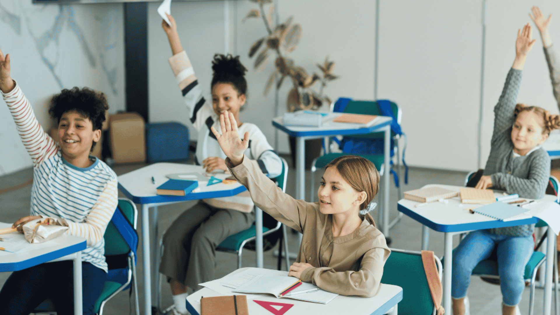 How To Choose Between Private, Public, And Charter Schools
