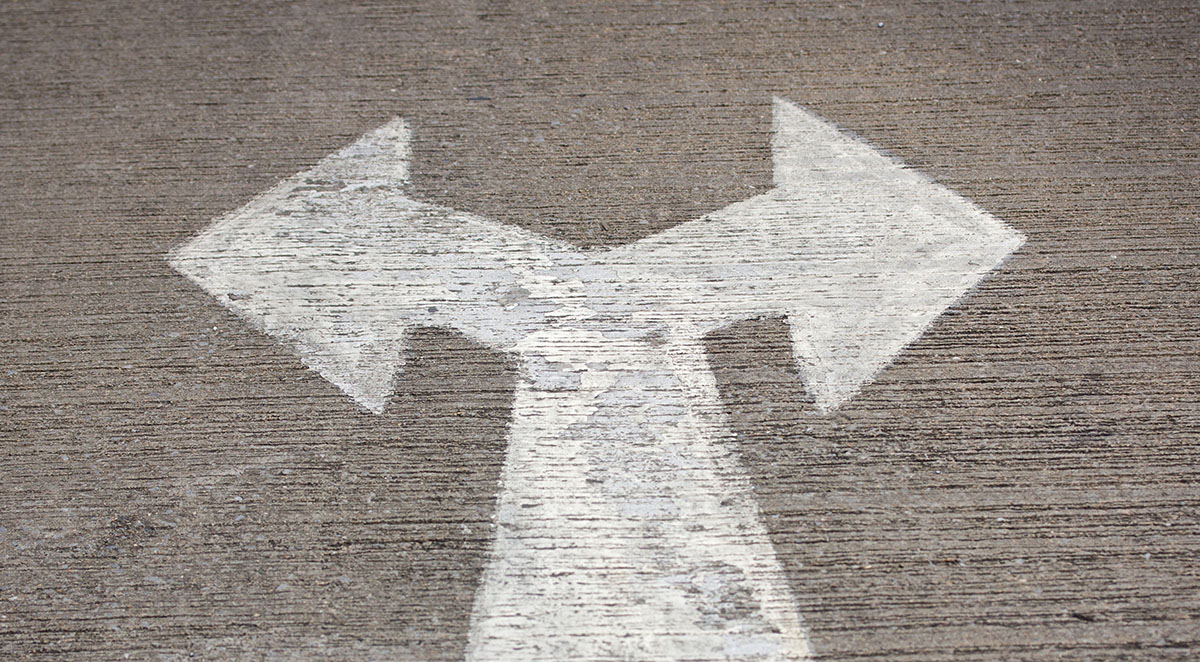 Choosing Between Private and Public Schools in Apex