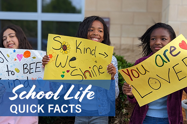 School Life quick facts picture